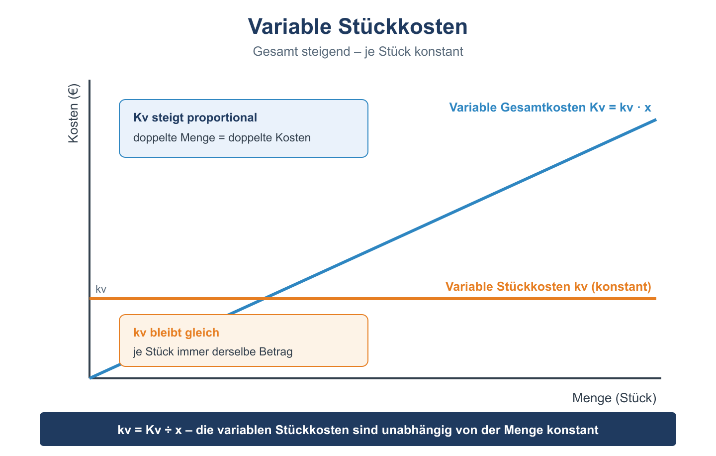 Diagramm: variable Gesamtkosten steigen proportional mit der Menge, variable Stückkosten verlaufen konstant horizontal.